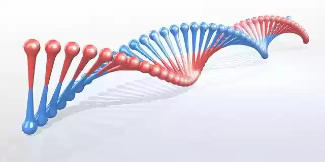 Free download Dna Strand Helicoid Biology The -  free illustration to be edited with GIMP free online image editor