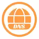 DNS Record Checker  screen for extension Chrome web store in OffiDocs Chromium
