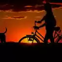 Dog and girl riding a bicycle  screen for extension Chrome web store in OffiDocs Chromium
