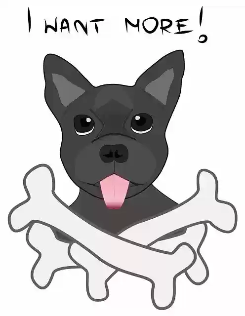 Free download Dog Bone Favorite -  free illustration to be edited with GIMP free online image editor