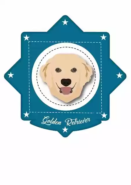 Free download Dog Colored Cute Golden -  free illustration to be edited with GIMP free online image editor