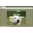 dog enjoying  screen for extension Chrome web store in OffiDocs Chromium