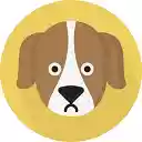 Dog Names 2021  screen for extension Chrome web store in OffiDocs Chromium