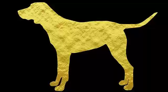 Free download Dog Pug Pitbull -  free illustration to be edited with GIMP free online image editor