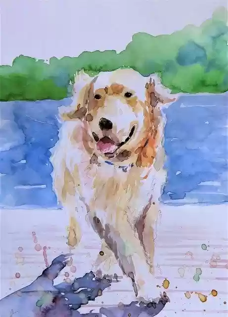 Free download Dog Running Watercolor Painting -  free illustration to be edited with GIMP free online image editor