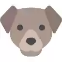 Dogs Health Blog  screen for extension Chrome web store in OffiDocs Chromium