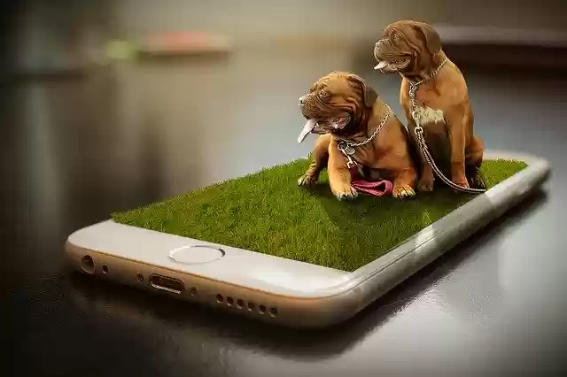Free download Dogs Puppies Dog -  free free photo or picture to be edited with GIMP online image editor