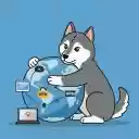 DogVPN  screen for extension Chrome web store in OffiDocs Chromium