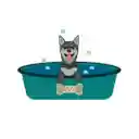 Dog Wash Station Buying Guide  screen for extension Chrome web store in OffiDocs Chromium