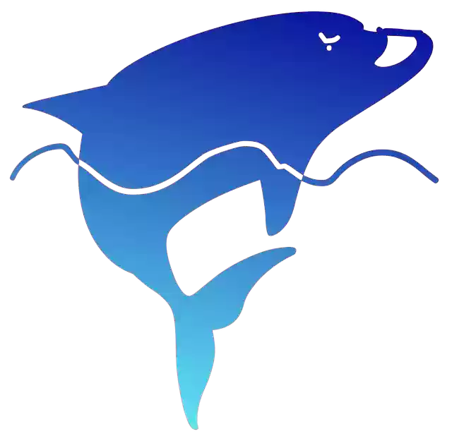 دانلود رایگان Dolphin Sea Blue - تصویر رایگان برای ویرایش با ویرایشگر تصویر آنلاین رایگان GIMP