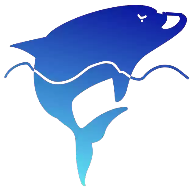 Free download Dolphin Sea Blue -  free illustration to be edited with GIMP free online image editor