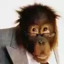 Dompston Plugs In  screen for extension Chrome web store in OffiDocs Chromium