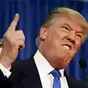 Donald Hamburgler  screen for extension Chrome web store in OffiDocs Chromium