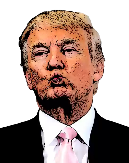 Free download Donald Trump Cartoon -  free illustration to be edited with GIMP free online image editor