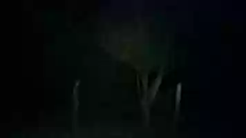 Free download Don Aquino free photo or picture to be edited with GIMP online image editor