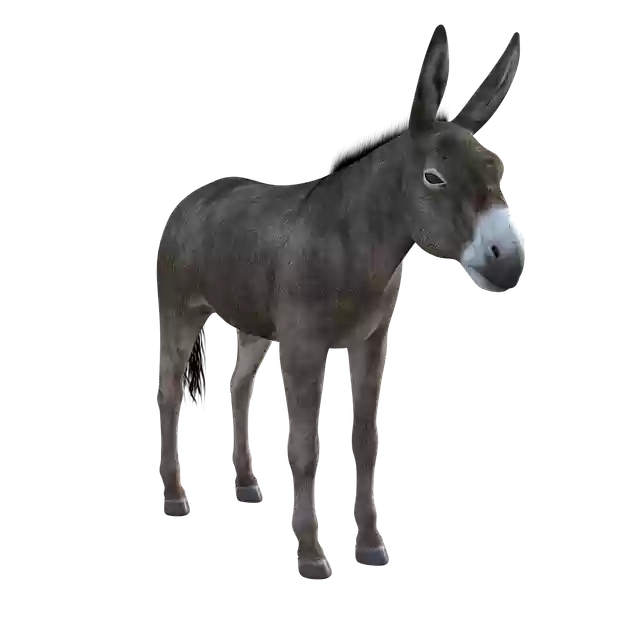 Free download Donkey Mule Animal free illustration to be edited with GIMP online image editor