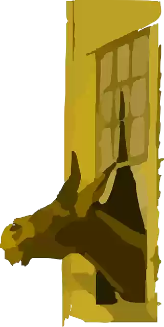 Free download Donkey Window Head - Free vector graphic on Pixabay free illustration to be edited with GIMP free online image editor