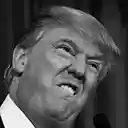 Dont Support Trump Supporters  screen for extension Chrome web store in OffiDocs Chromium