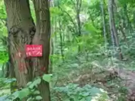 Free download dotqarkzcfks free photo or picture to be edited with GIMP online image editor