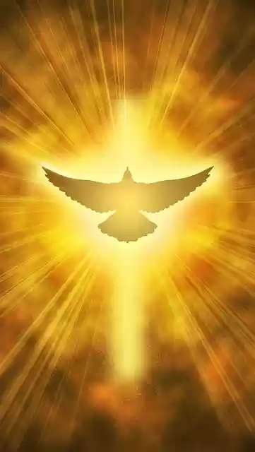 Free download Dove Light Cross free illustration to be edited with GIMP online image editor