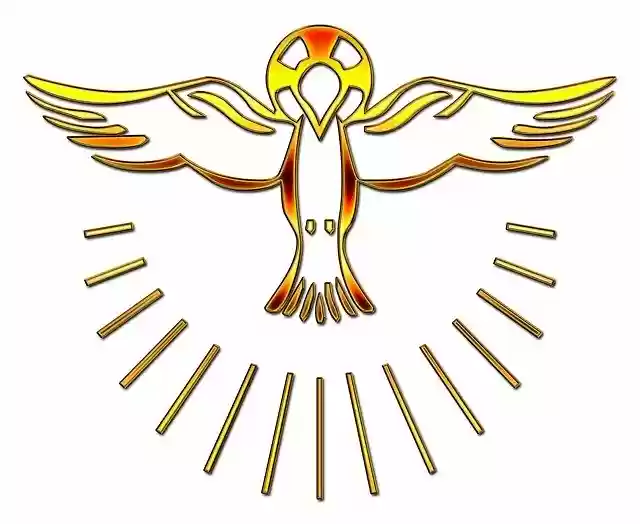 Free download Dove Symbol Holy -  free illustration to be edited with GIMP free online image editor