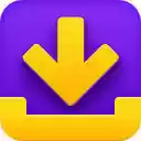 Download Manager Pro  screen for extension Chrome web store in OffiDocs Chromium