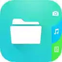 Download Sorter  screen for extension Chrome web store in OffiDocs Chromium
