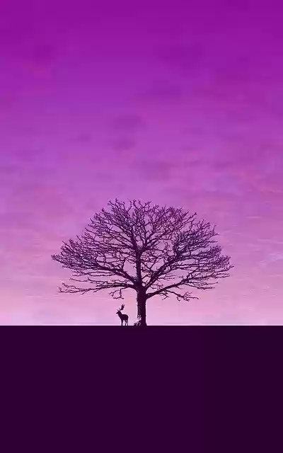 Free download Download Wallpaper Purple -  free illustration to be edited with GIMP free online image editor