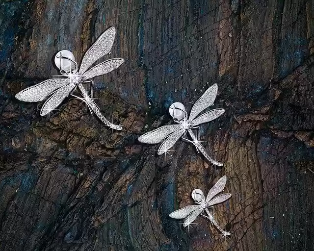 Free download Dragonflies Wood Pearl -  free illustration to be edited with GIMP free online image editor