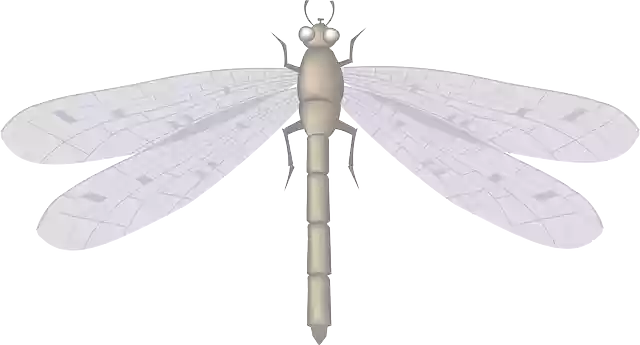Free download Dragon Fly Large - Free vector graphic on Pixabay free illustration to be edited with GIMP free online image editor