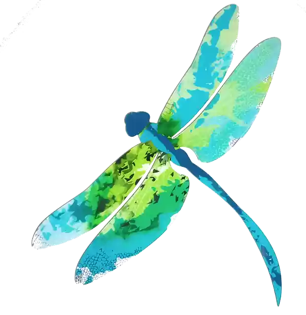 Free download Dragonfly Ornamental Insect -  free illustration to be edited with GIMP free online image editor