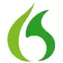Dragon Medical Web Extension  screen for extension Chrome web store in OffiDocs Chromium