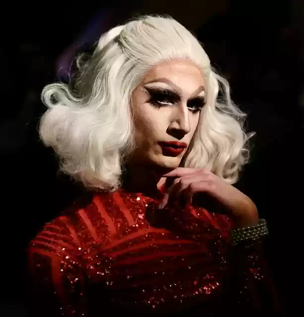Free download Drag Queer Fashion -  free free photo or picture to be edited with GIMP online image editor