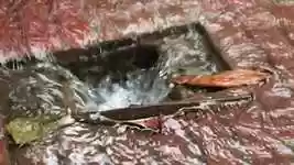 Free download Drain Rain Wet free video to be edited with OpenShot online video editor