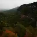 Dramatic Forest Canyon in Misty Autumn  screen for extension Chrome web store in OffiDocs Chromium
