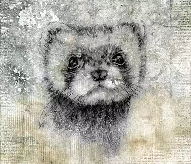 Free download Drawing Art Background -  free illustration to be edited with GIMP free online image editor