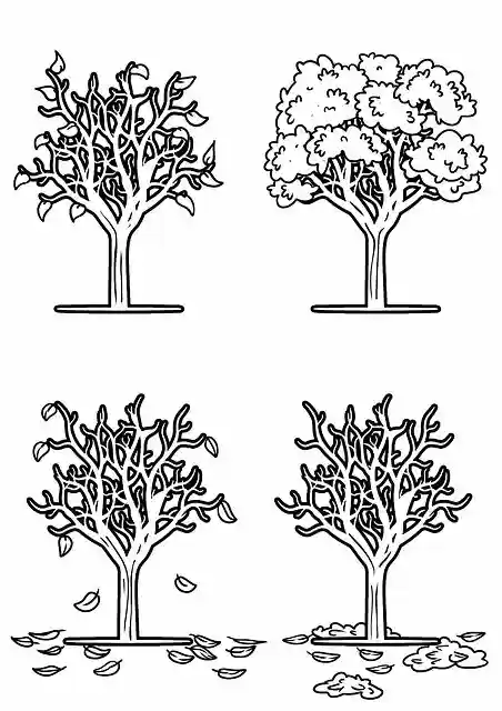 Free download Drawing Tree Seasons -  free photo or picture to be edited with GIMP online image editor