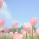 Dreamy Bloom  screen for extension Chrome web store in OffiDocs Chromium