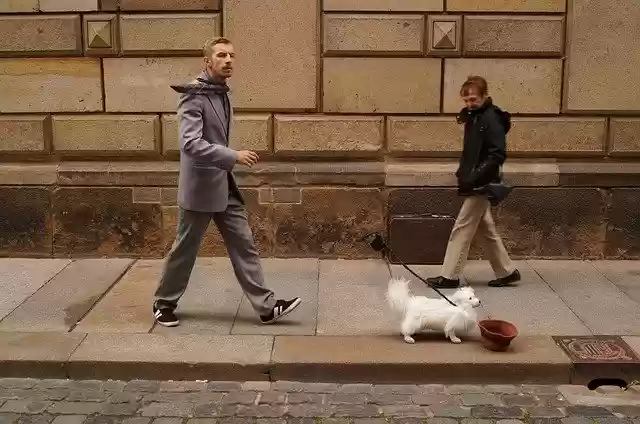 Free download Dresden Germany Man -  free photo or picture to be edited with GIMP online image editor