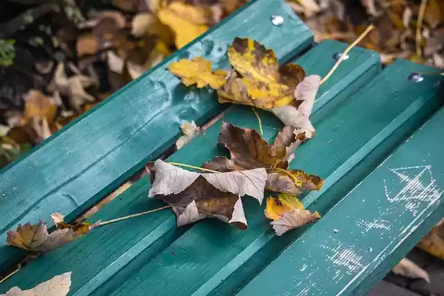 Скачать бесплатно сухие листья скамейка в парке осень осень бесплатное изображение для редактирования с помощью бесплатного онлайн-редактора изображений GIMP