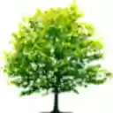 Drink Water Event Popup  screen for extension Chrome web store in OffiDocs Chromium