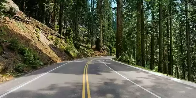 무료 다운로드 Driving Paved Road Roadway - GIMP 온라인 이미지 편집기로 편집할 수 있는 무료 사진 또는 그림