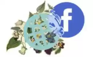 Free download DRL Facebook Mundo Planta ( 4 2015) free photo or picture to be edited with GIMP online image editor