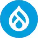 Drupal Version Detector  screen for extension Chrome web store in OffiDocs Chromium