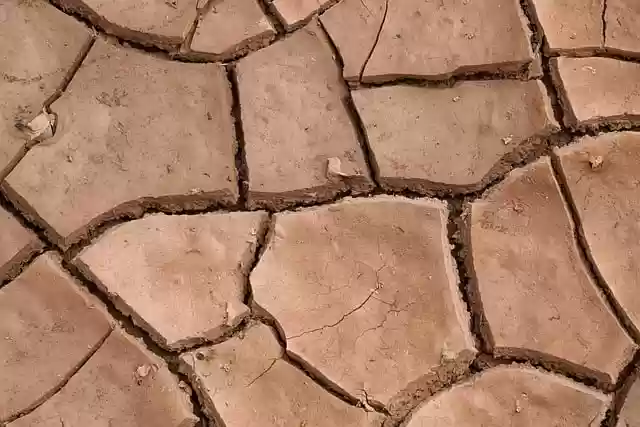 Free download dry cracks floor dry out summer free picture to be edited with GIMP free online image editor