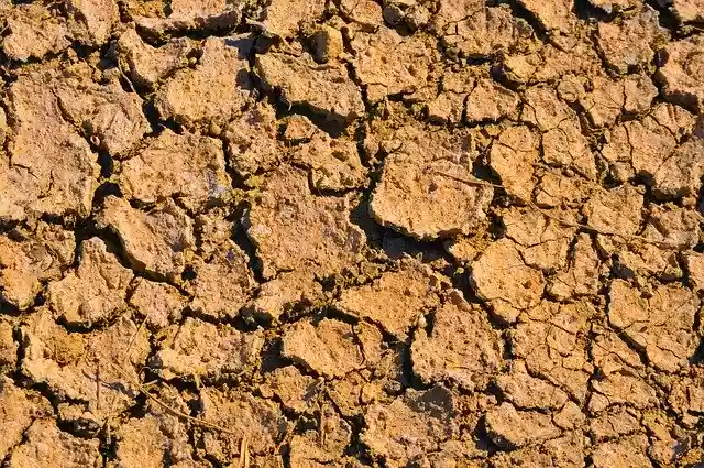 Free download Dry Dirt Earth -  free photo or picture to be edited with GIMP online image editor