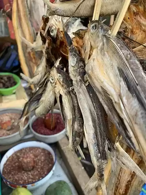 Free download Dry Fish Dried Seafood Sundried -  free photo or picture to be edited with GIMP online image editor