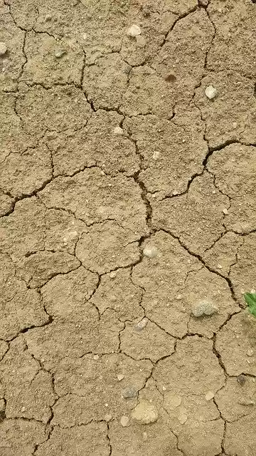 乾燥した土地の土壌干ばつを無料でダウンロード-GIMPオンラインイメージエディターで編集できる無料の写真または画像