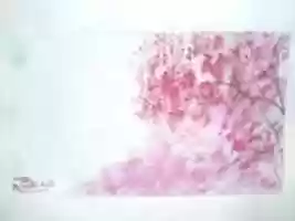 Free download DSC 05975 free photo or picture to be edited with GIMP online image editor