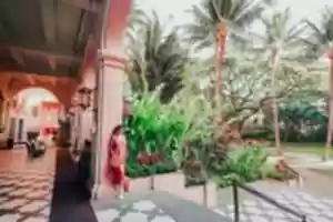 Free download DSC 06831 800x 533 free photo or picture to be edited with GIMP online image editor